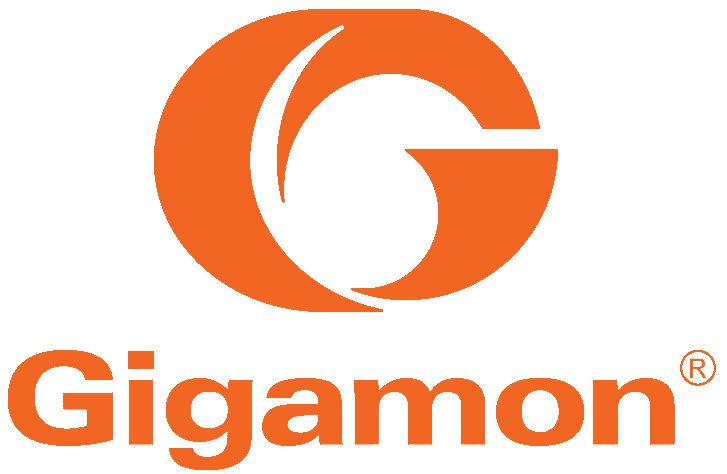 Gigamon